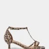 CLEOSW STILETTO - Leopard