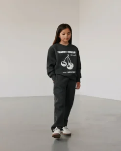 PARISY SWEATSHIRT - Dark grey melange