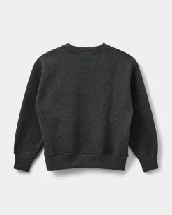 PARISY SWEATSHIRT - Dark grey melange