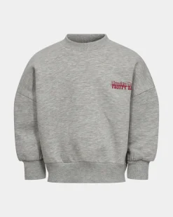 SISK SWEATSHIRT - Grey melange