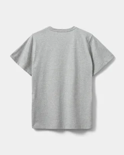 ZENASW T-SHIRT - Grey melange