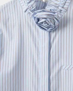 SCOUTSW SHIRT - Blue striped