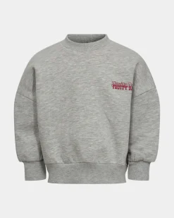 SISK SWEATSHIRT - Grey melange