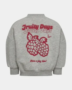 SISK SWEATSHIRT - Grey melange