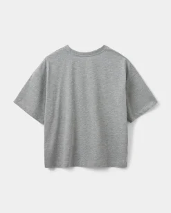 VERASW T-SHIRT - Grey melange