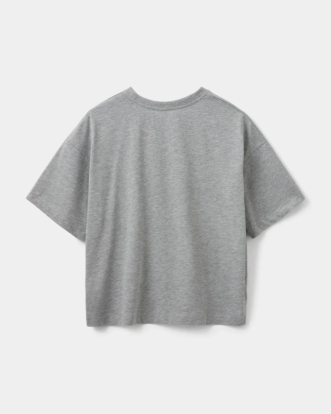 VERASW T-SHIRT - Grey melange