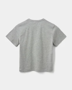 VERASY T-SHIRT - Grey melange