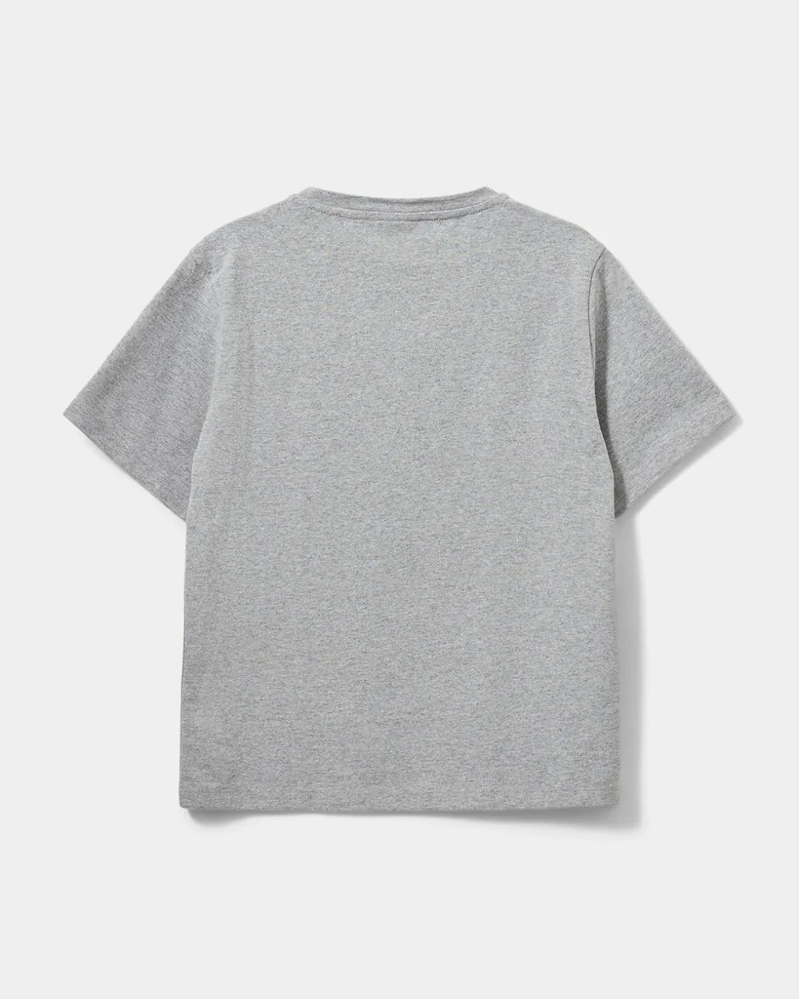ZENASY T-SHIRT - Grey melange